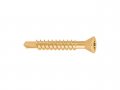 Шуруп для полов и паркета 3.2х40 мм желтый цинк TORX10 (500 шт в карт. уп.) (STARFIX)