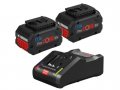 Комплект аккумулятор 18.0 В ProCORE18 V 2 шт. + зарядное устройство GAL 18V-160 C (Набор ProCORE18 V 8,0Ah 2 шт. + GAL 18V-160 C) (BOSCH)